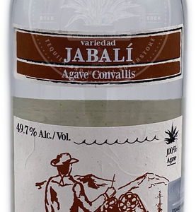 Rey Campero Mezcal Jabalí "En Barro" 750ml (Brown Label)