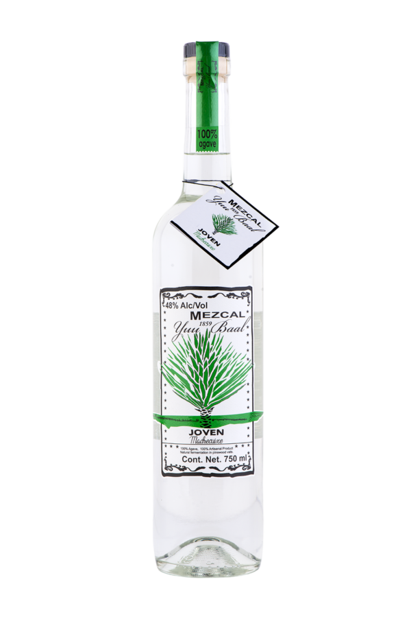 Yuu Baal Joven Madrecuixe Mezcal